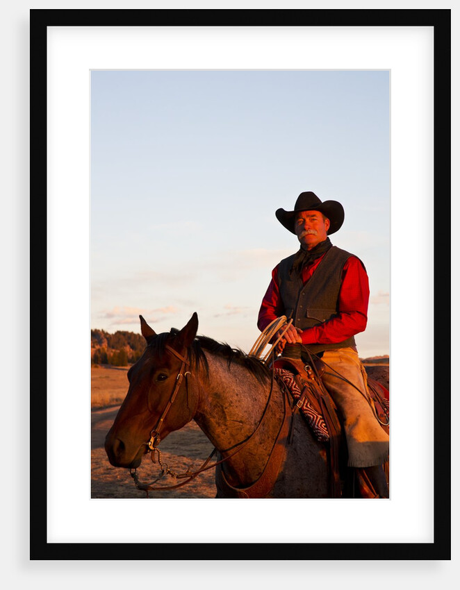 Cowboy in the sunshine by Anonymous