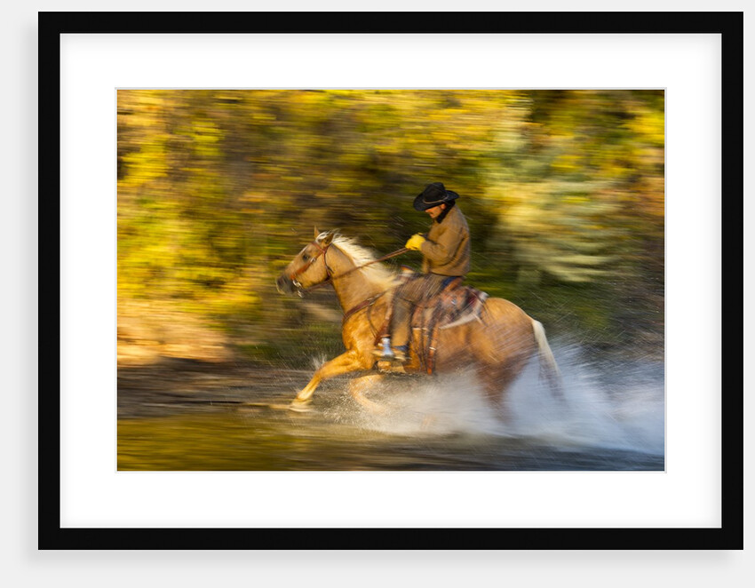 Cowboy riding through river on a horse by Anonymous