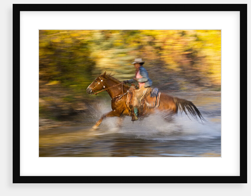 Cowgirl riding through river on a horse by Anonymous