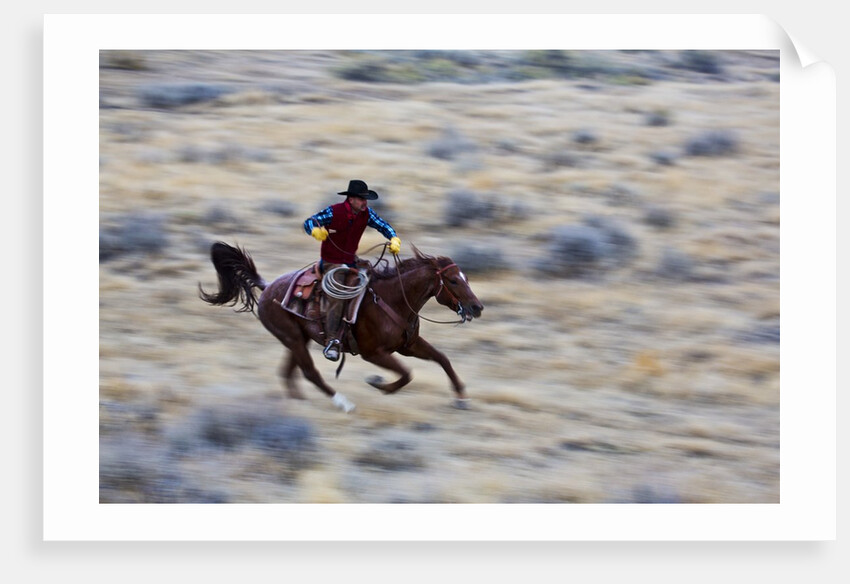 Cowboy riding the range by Anonymous