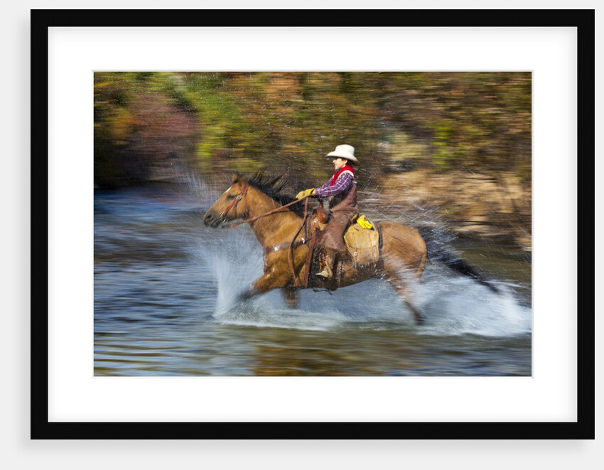 Young cowboy crossing river on his horse by Anonymous