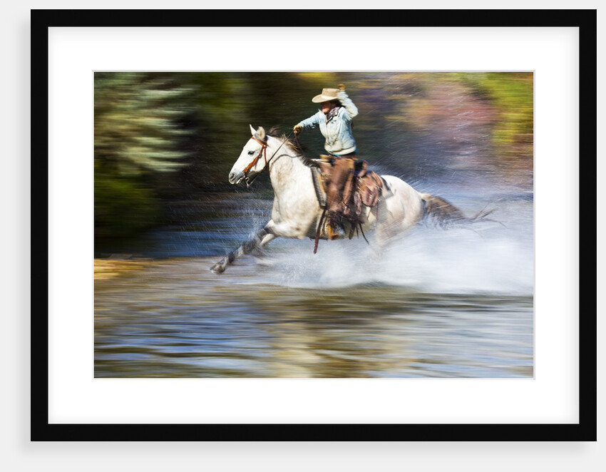 Cowgirl riding through river on horse by Anonymous