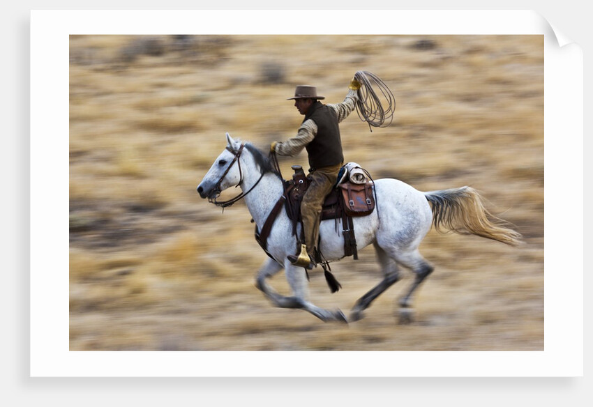 Cowboy riding the range by Anonymous