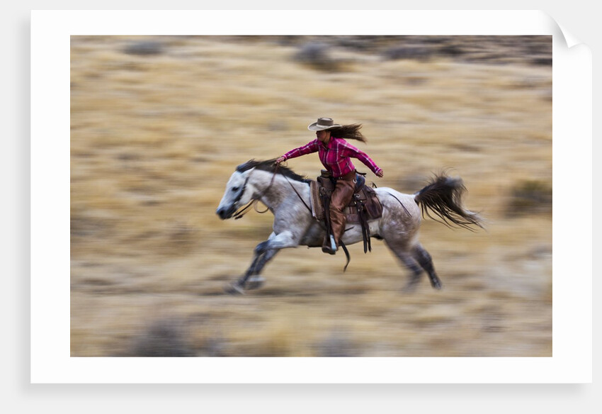 Cowgirl riding the range by Anonymous