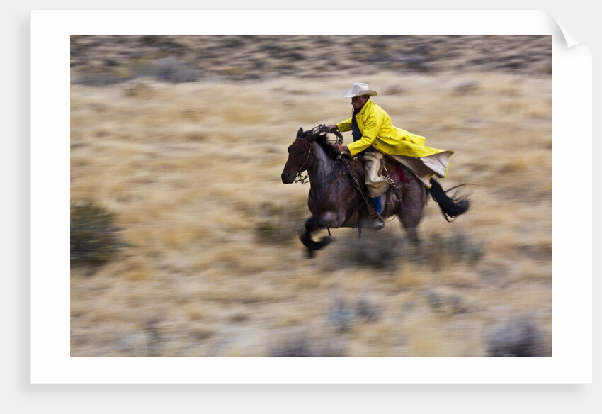 Cowboy riding the range by Anonymous