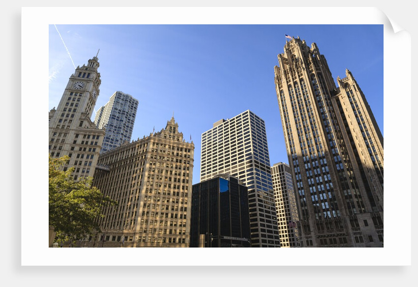 Chicago, Illinois by Anonymous