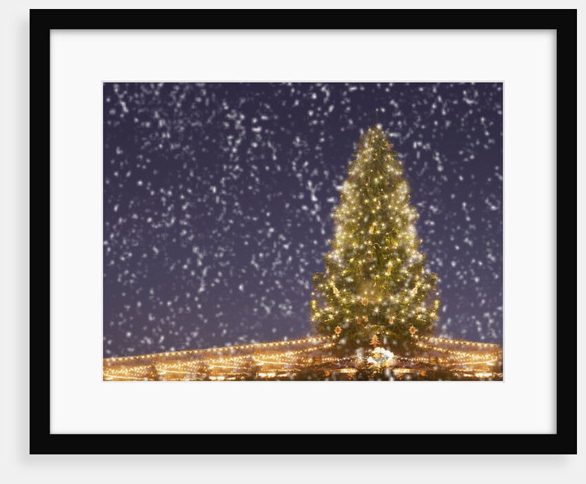 Christmas tree under snowfall by Anonymous