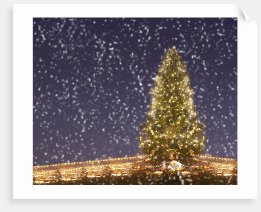 Christmas tree under snowfall by Anonymous