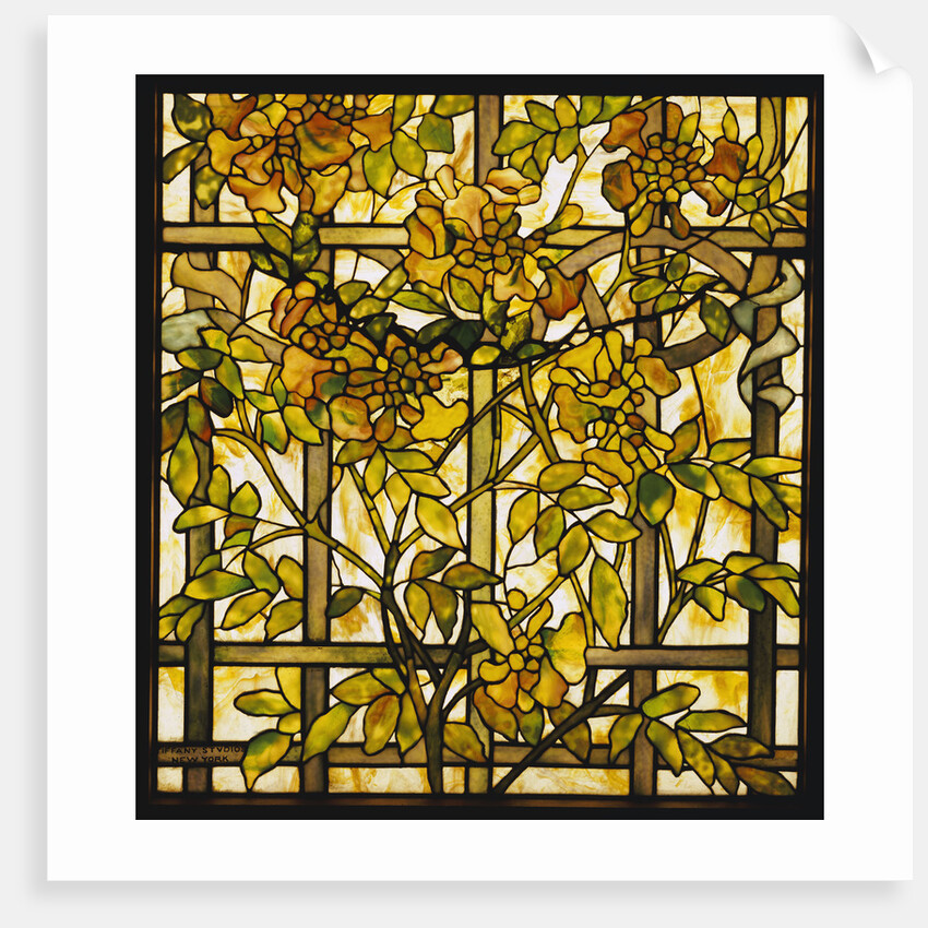 Tiffany Studios trumpet vine leaded glass window by Anonymous