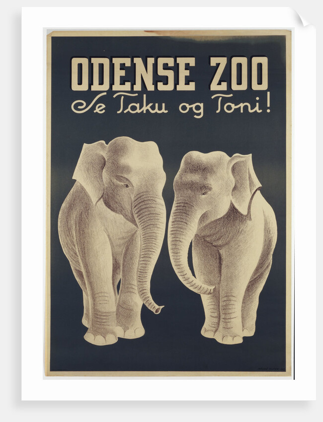 Odense Zoo poster by Anonymous