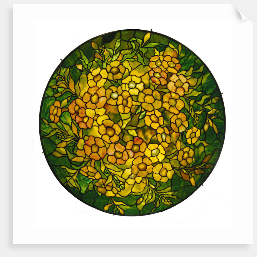 Tiffany Studios lighted shade of a fine alamander leaded glass and bronze vhandelier by Anonymous