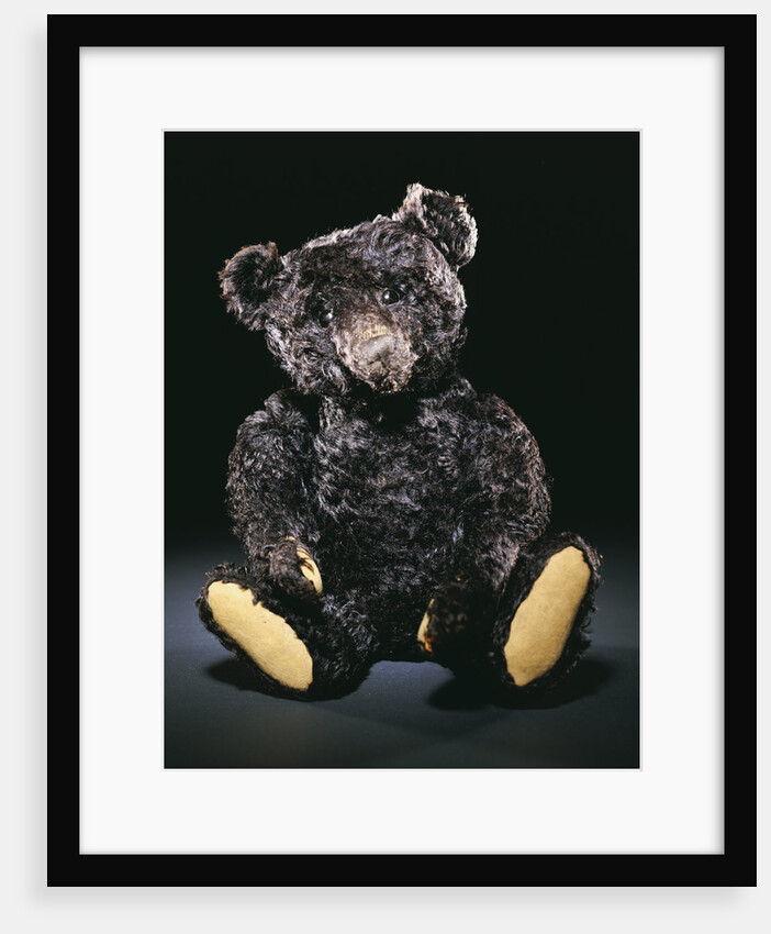 A rare black Steiff teddy bear with rich black curly mohair, circa 1912 by Anonymous
