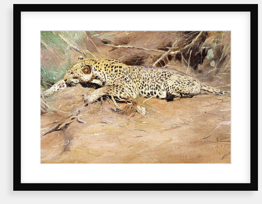 A Leopard by Wilhelm Kuhnert