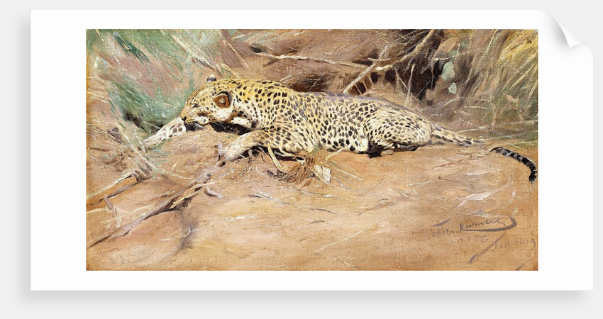 A Leopard by Wilhelm Kuhnert