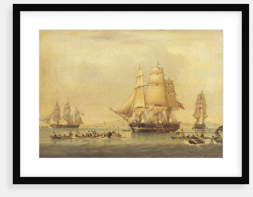 Whalers of the South Seas Fishery by John Ward of Hull