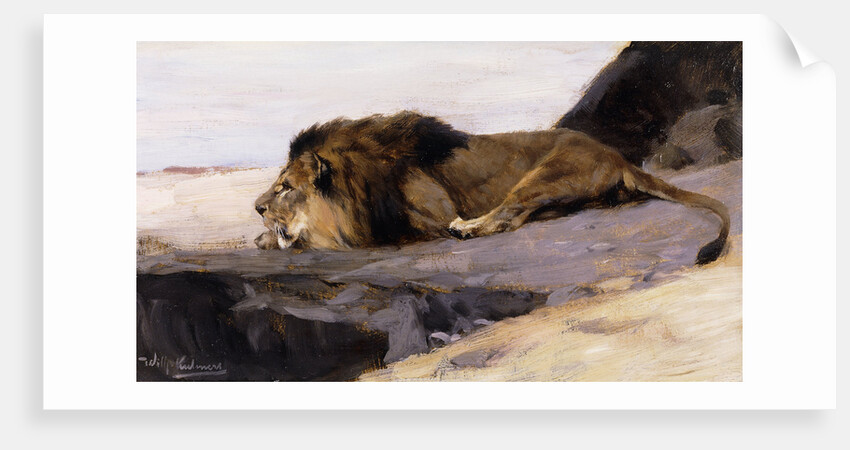 A Resting Lion by Wilhelm Kuhnert