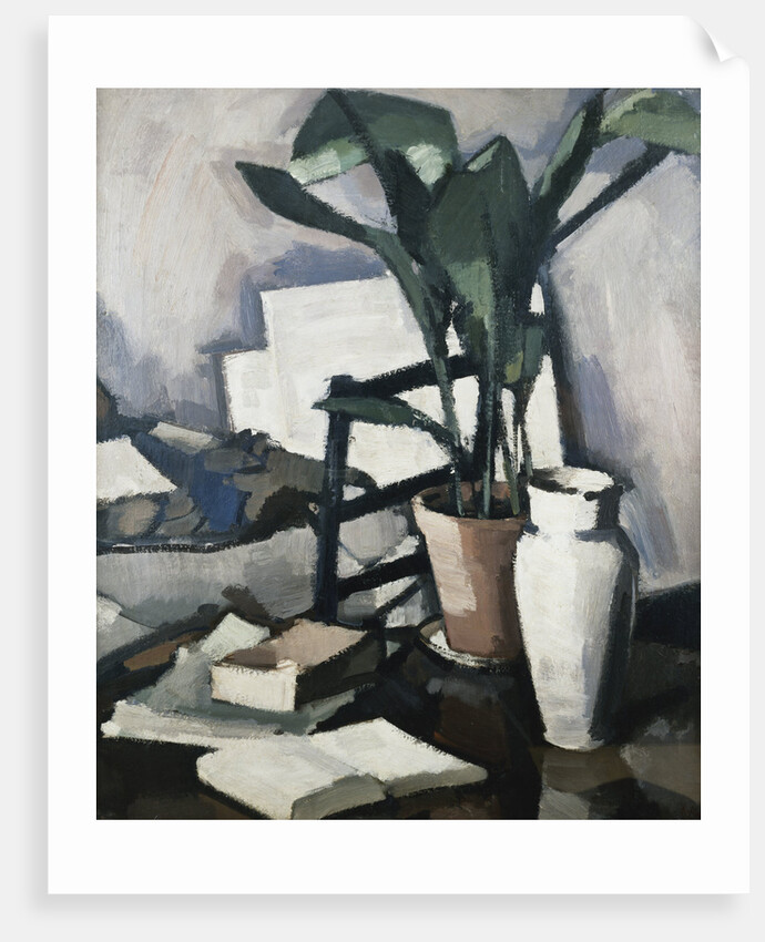 Aspidistra by Samuel John Peploe