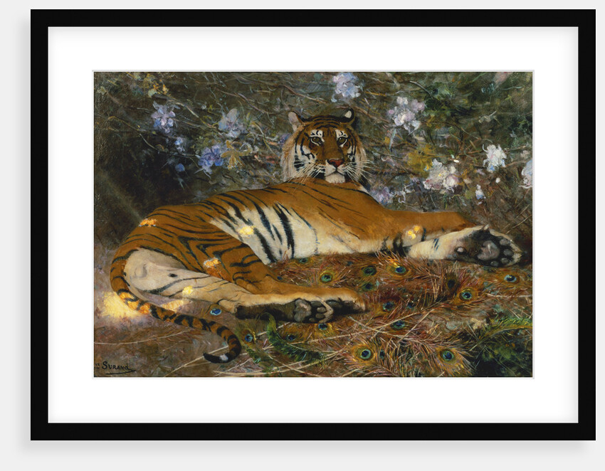 Tiger from Annam by Gustave Surand