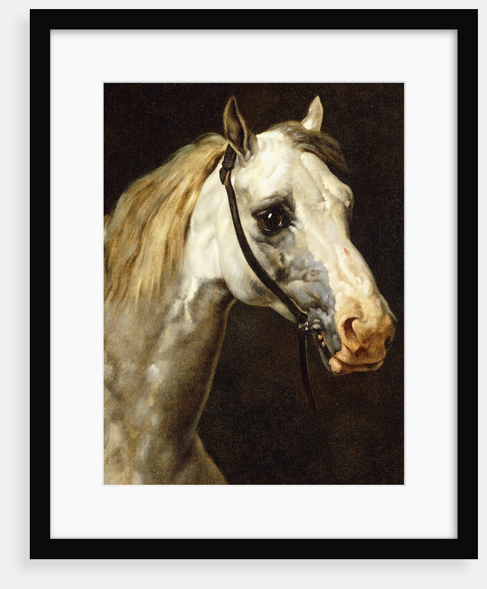 Head of a Piebald Horse attributed to Theodore Jean Louis Gericault by Anonymous