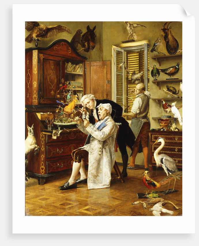 The Taxidermist by Francois Brunery