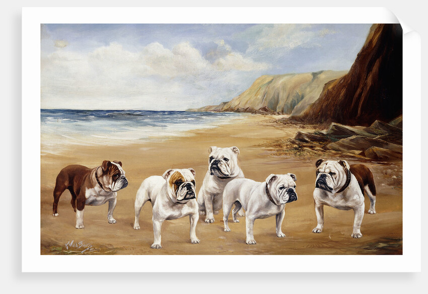 Bulldogs on a Beach by Reuben Ward Binks