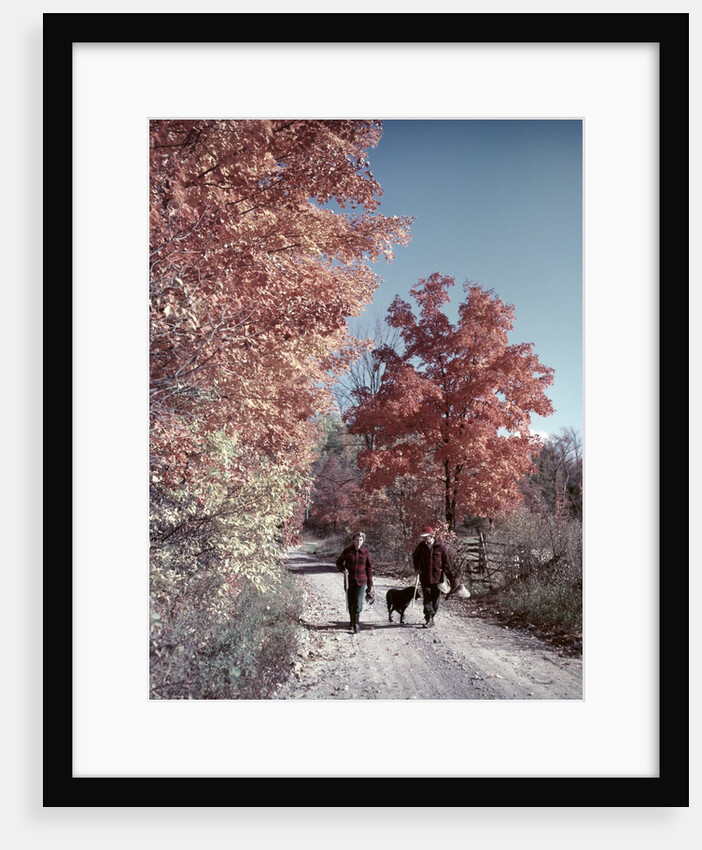 1950s 1960s Senior Couple Man Woman Walking Autumn Country Road by Anonymous