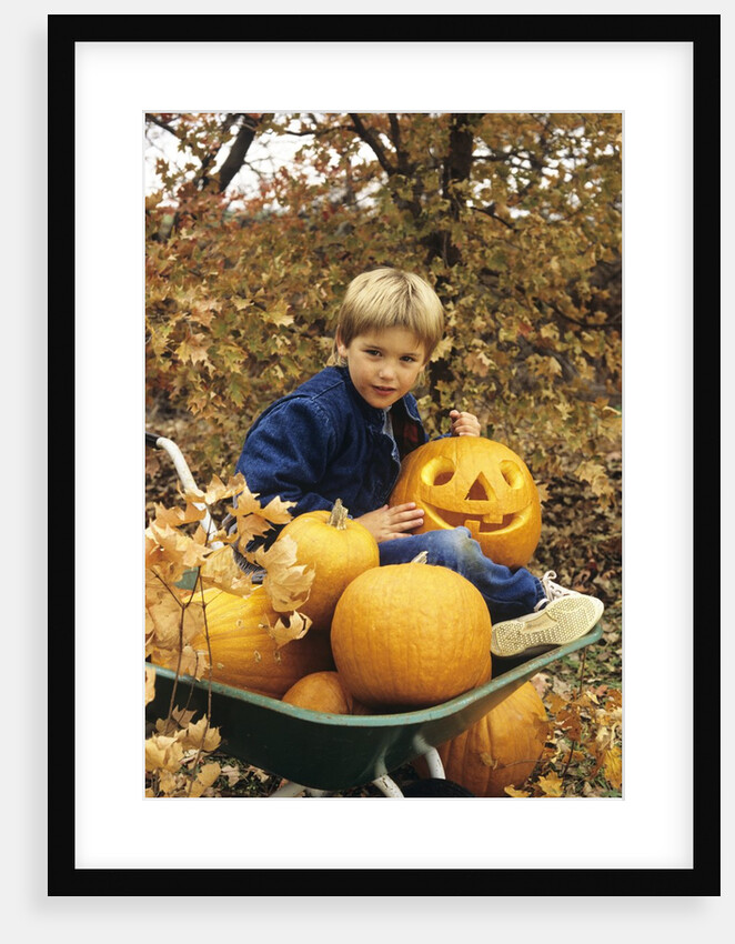 1980s Boy Setting In Wheel Barrow With Halloween Pumpkins Looking At Camera by Anonymous