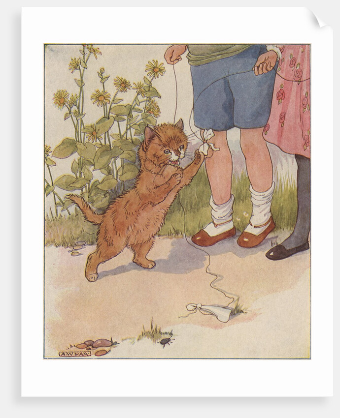 Kitten playing with string by Anonymous