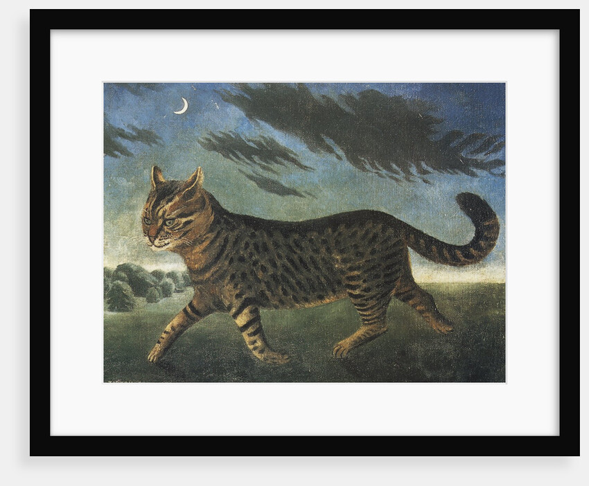 Tabby cat walking at night by Anonymous