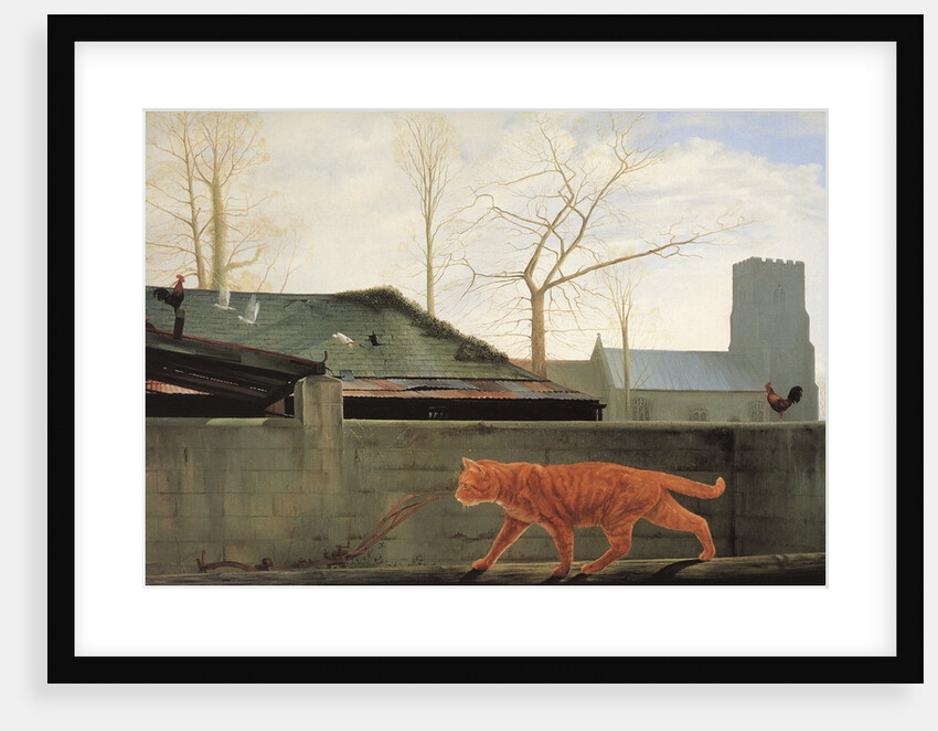 Orange Tabby cat stalking birds by Anonymous