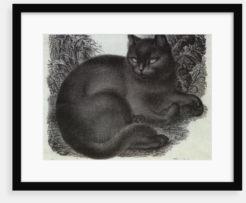 Sleepy Cat by Eileen Mayo