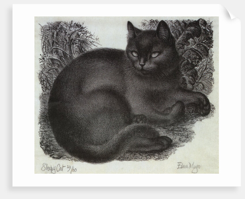 Sleepy Cat by Eileen Mayo