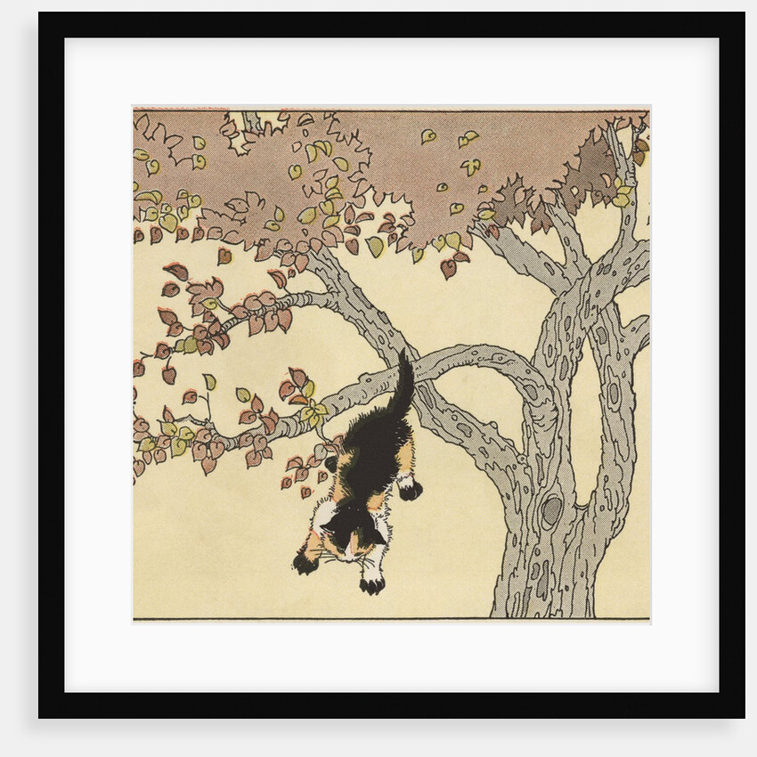 Kitten jumping from tree by Anonymous