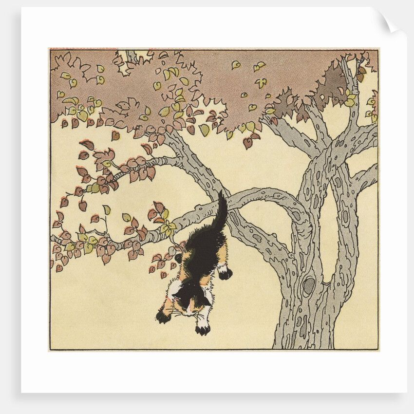Kitten jumping from tree by Anonymous