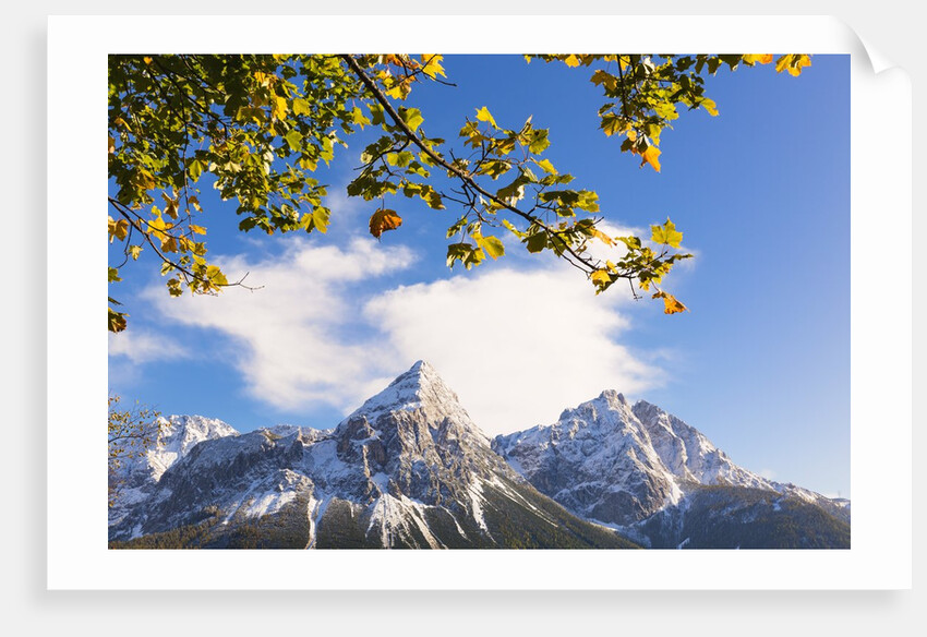 Mountain range in autumn by Anonymous