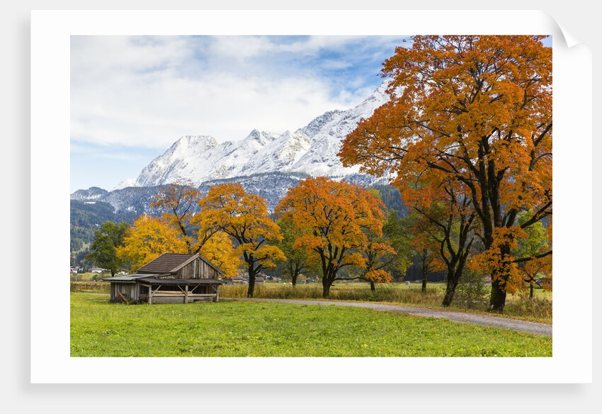 Autumn colors by mountain range by Anonymous