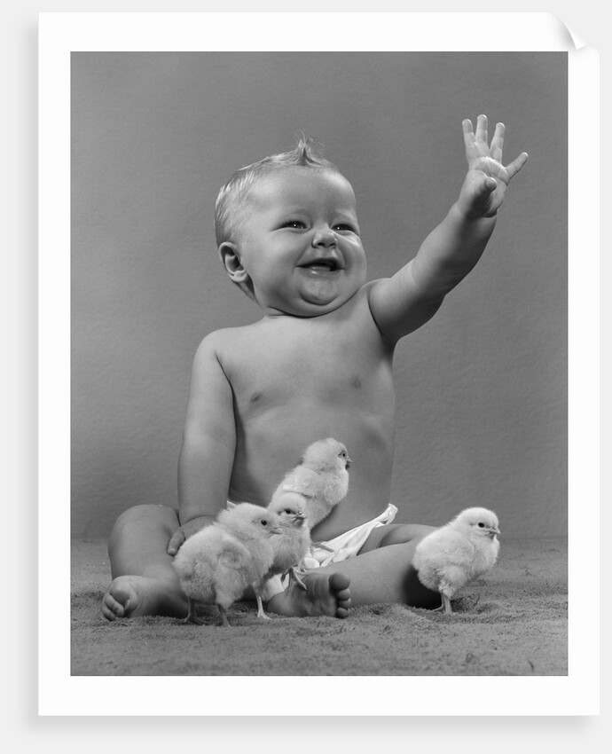 1950s Laughing Waving Baby Surrounded By Little Baby Chicks by Anonymous