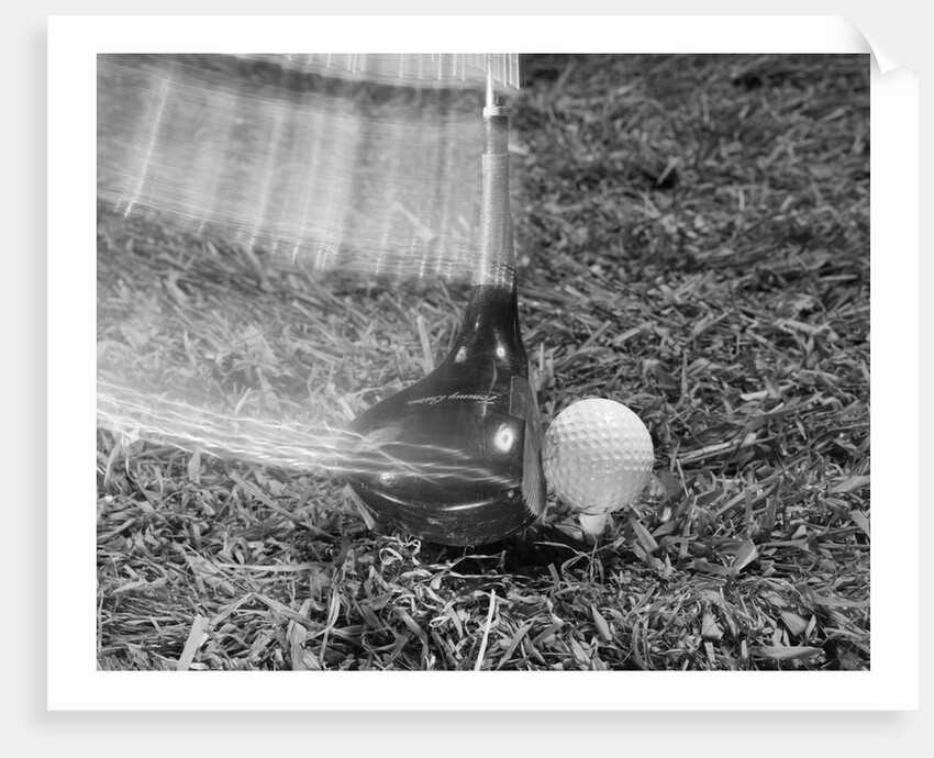 1960s Moving Driver Golf Club Hitting Ball On Tee In Grass by Anonymous