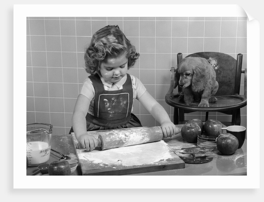1950s Little Girl Rolling Out Apple Pie Crust On Kitchen Table With Cocker Spaniel Puppy Watching by Anonymous