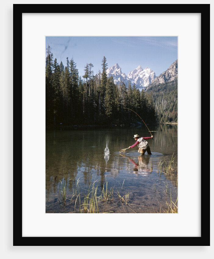 1970s Man Fisherman Red Shirt In Rocky Mountains Stream Lake Fly Rod Catch Splashing On Line Net by Anonymous
