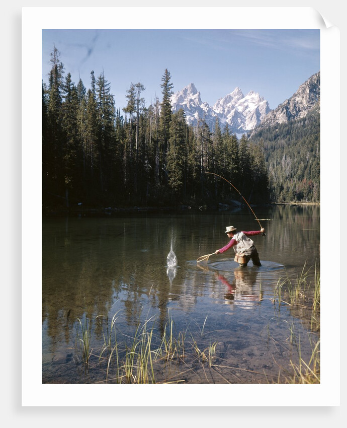 1970s Man Fisherman Red Shirt In Rocky Mountains Stream Lake Fly Rod Catch Splashing On Line Net by Anonymous