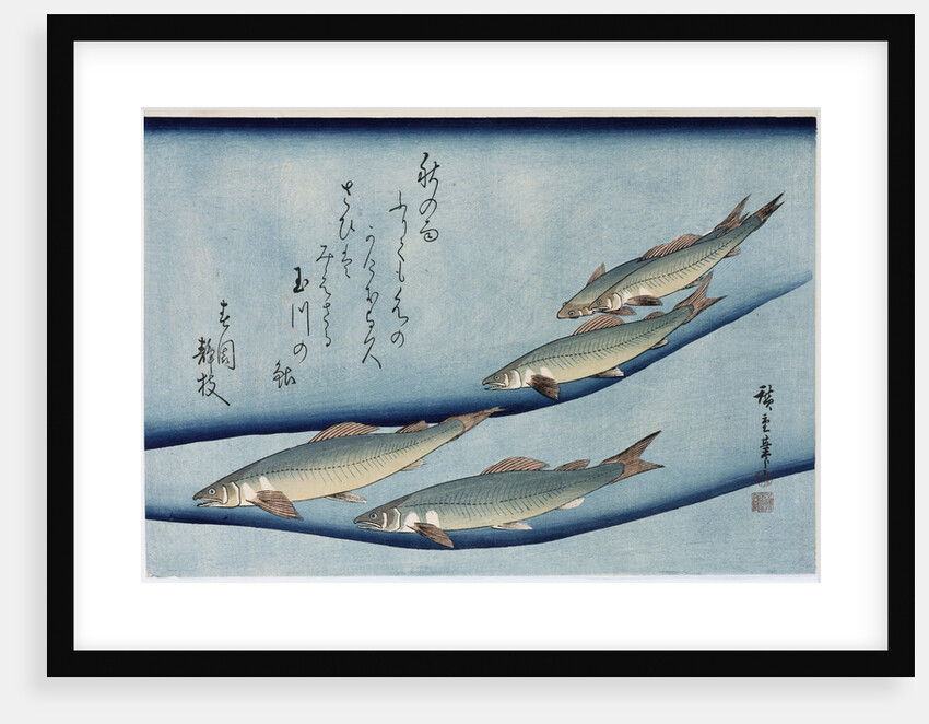 Rivertrout by Ando Hiroshige from the series 'Collection of Fish' by Ando Hiroshige