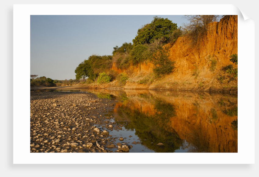 Riverbed, Zambezi National Park by Anonymous