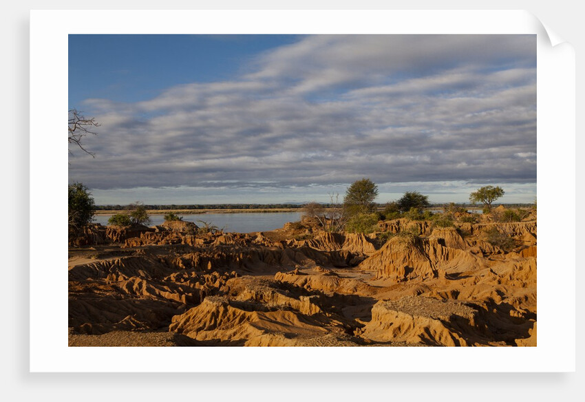 Banks Along Zambezi River by Anonymous