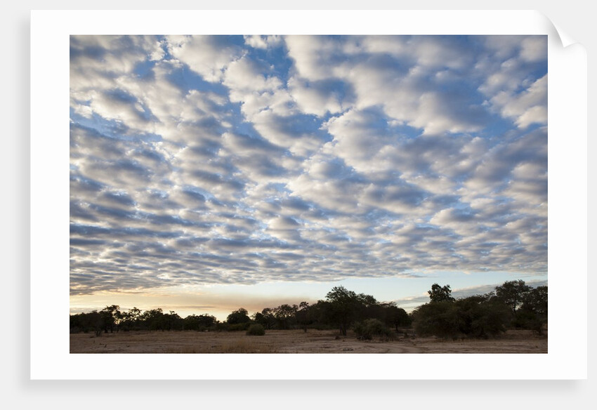 South Luwangwe National Park by Anonymous