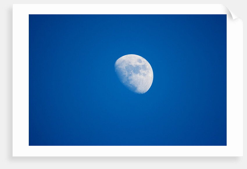 Moonrise, Acadia National Park, Maine by Anonymous