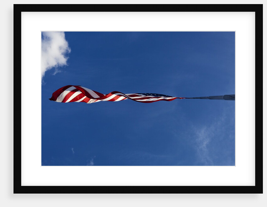 American Flag, Washington by Anonymous