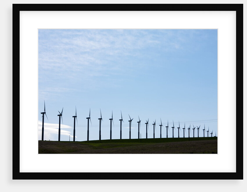 Windmills, Wallula, Washington by Anonymous
