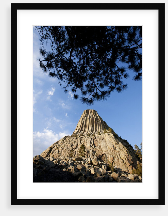 Devils Tower National Monument, Wyoming by Anonymous