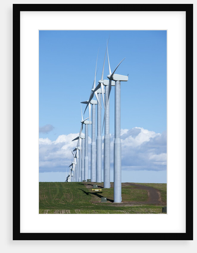 Windmills, Wallula, Washington by Anonymous